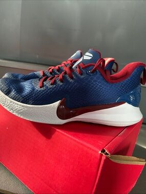 Nike Kobe Mamba Focus basketball shoes